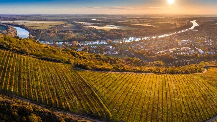 Tokaj Wine Region