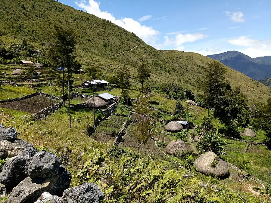 Baliem Valley in Indonesia — photo 4