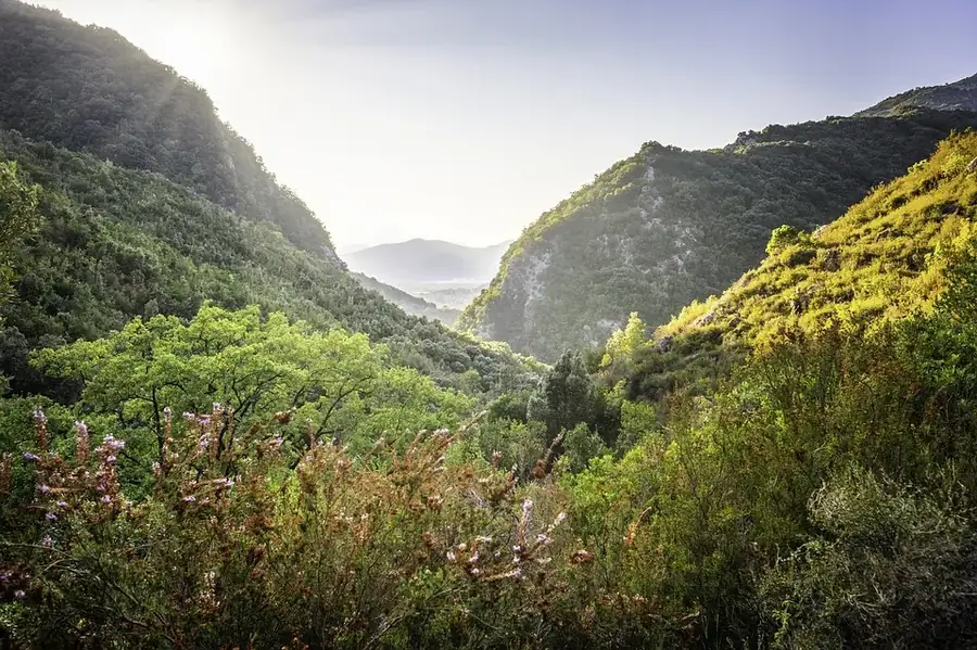 Ajloun Forest Reserve