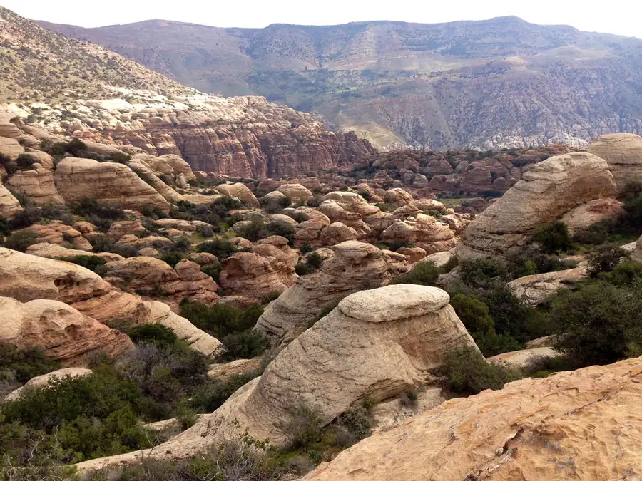 Dana Biosphere Reserve in Jordan โ photo 2