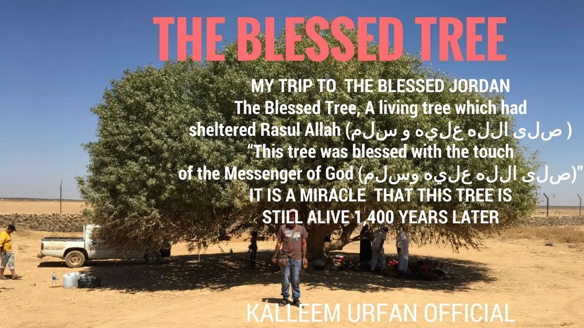 The Blessed Tree