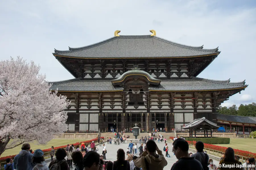 Todai-ji in Japan — photo 2