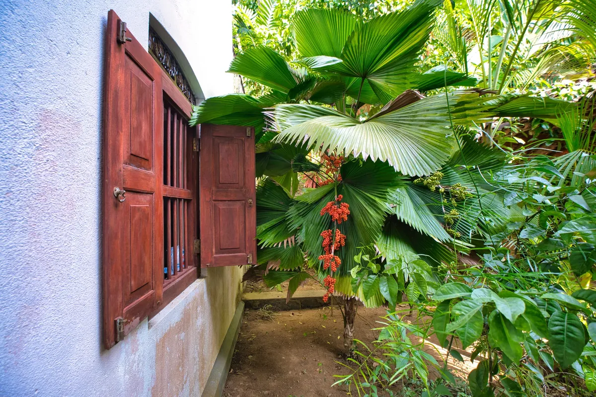 Brief Garden