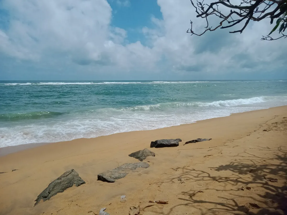 Casuarina Beach