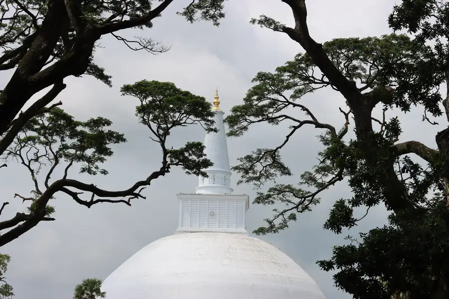 Jaya Sri Maha Bodhi in Sri Lanka — photo 2