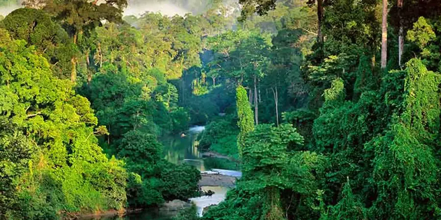 Sinharaja Forest Reserve