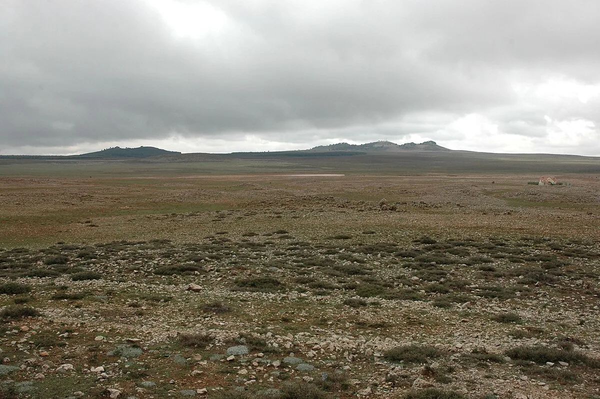 Ifrane National Park