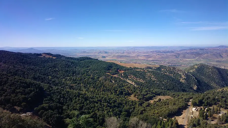 Ifrane National Park in Morocco — photo 2