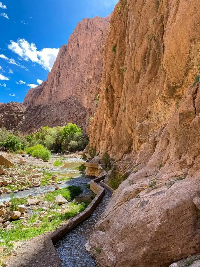 Todra Gorge in Morocco — photo 3