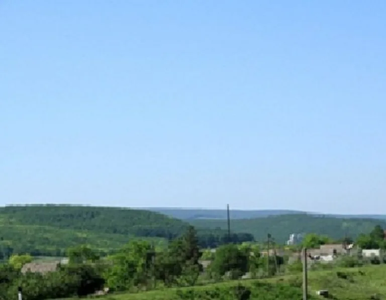 Tigheci Forest