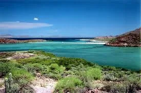El Vizcaíno Biosphere Reserve