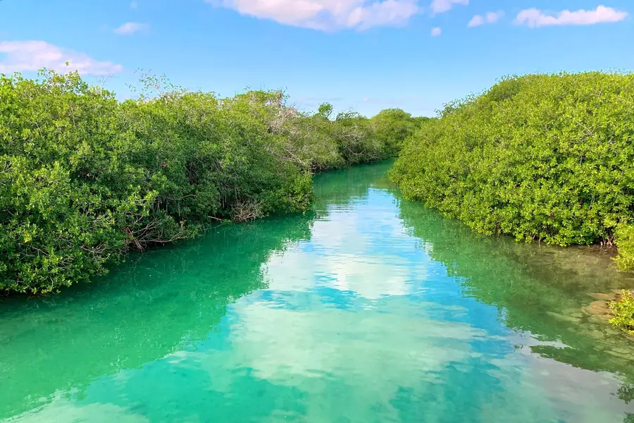 Sian Ka'an Biosphere Reserve in Mexico — photo 2