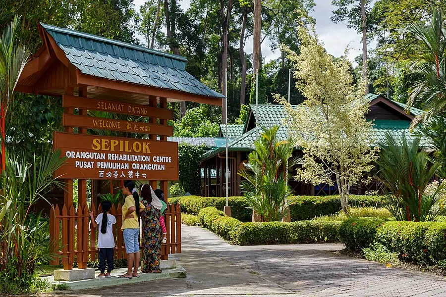Sepilok Orangutan Rehabilitation Centre in Malaysia — photo 2