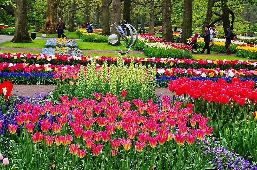 Keukenhof in Netherlands — photo 2