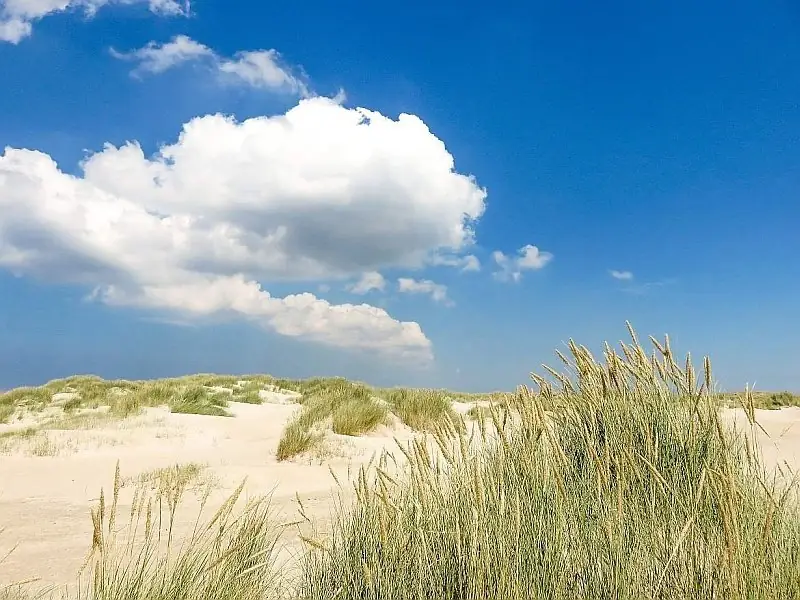 Texel Dunes National Park in Netherlands — photo 2