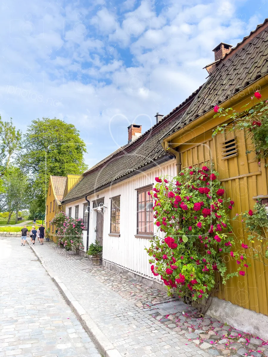 The Old Town (Gamlebyen)