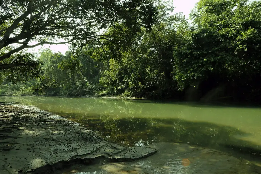 Bardiya National Park in Nepal โ photo 2