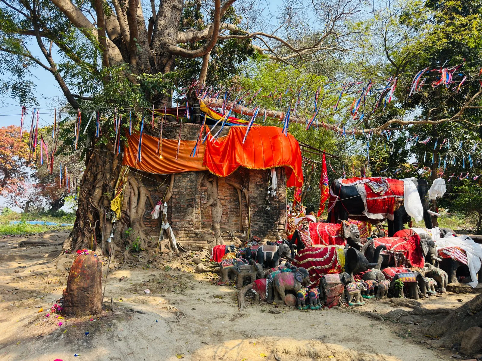 Tikapur Park in Nepal