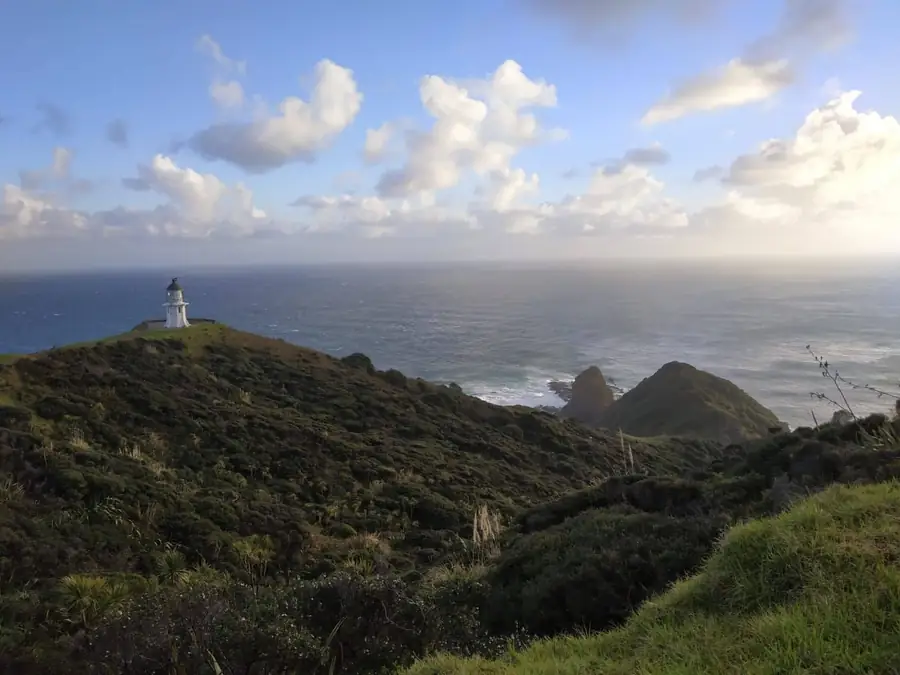 Te Rerenga Wairua in New Zealand — photo 2