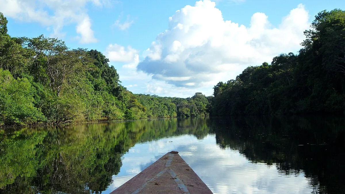 Pacaya-Samiria National Reserve