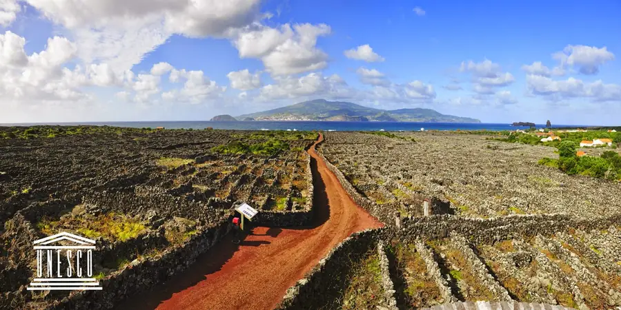 Paisagem da Cultura da Vinha da Ilha do Pico in Portugal — photo 2