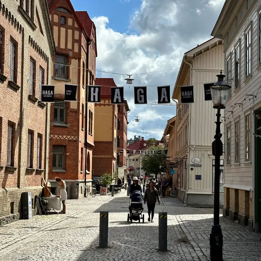 Haga District