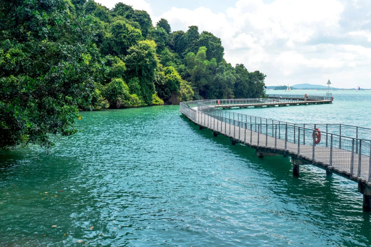 Chek Jawa Wetlands