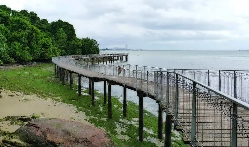 Chek Jawa Wetlands in Singapore — photo 2