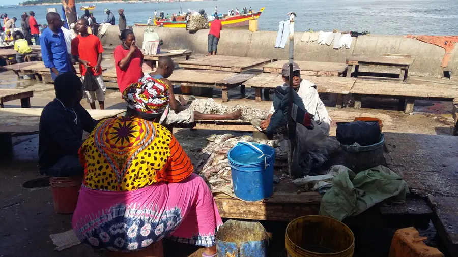 Kivukoni Fish Market in Tanzania — photo 2