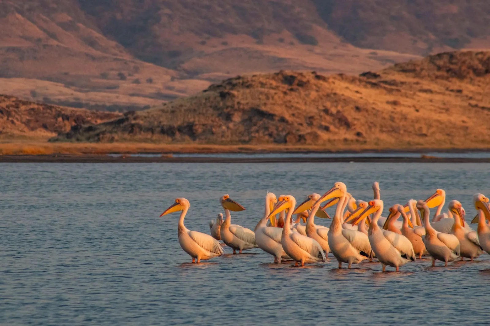 Lake Natron