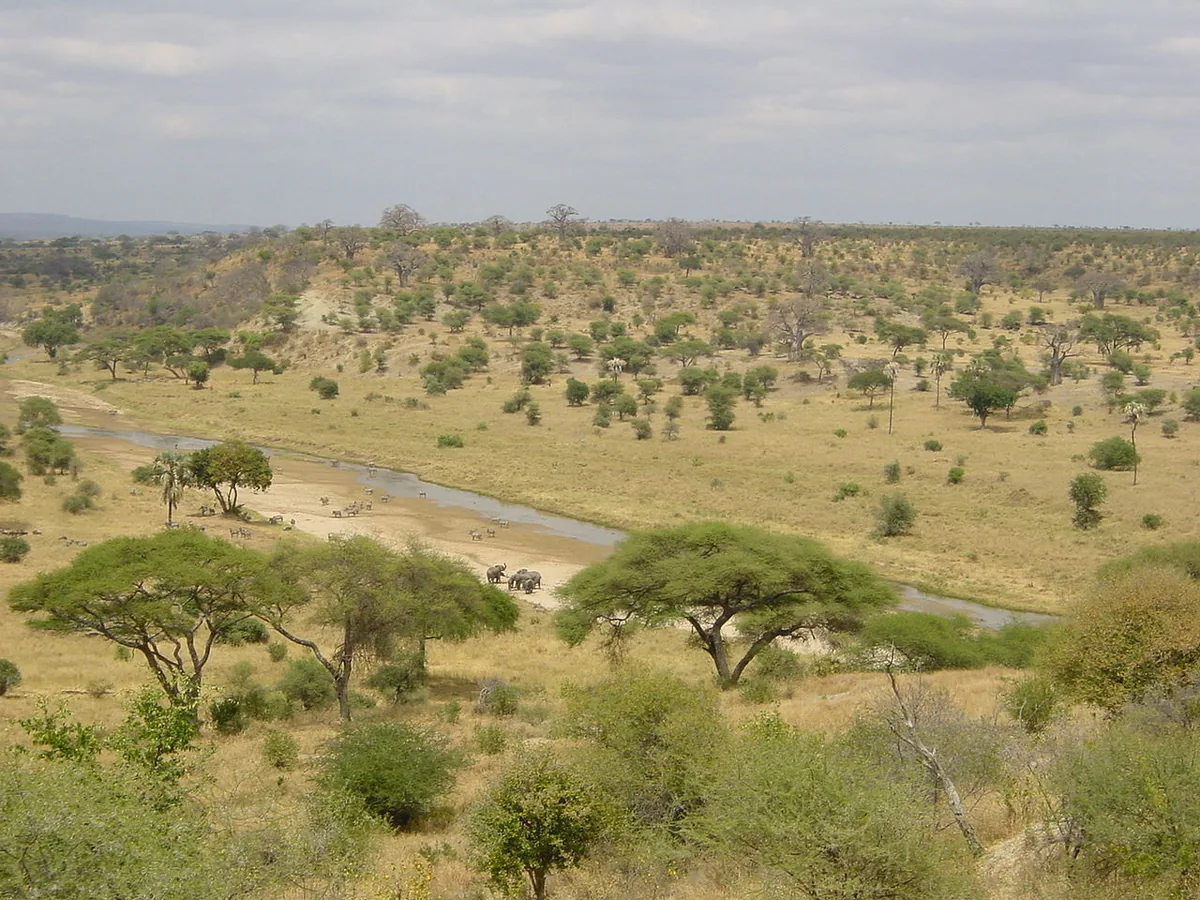 Tarangire