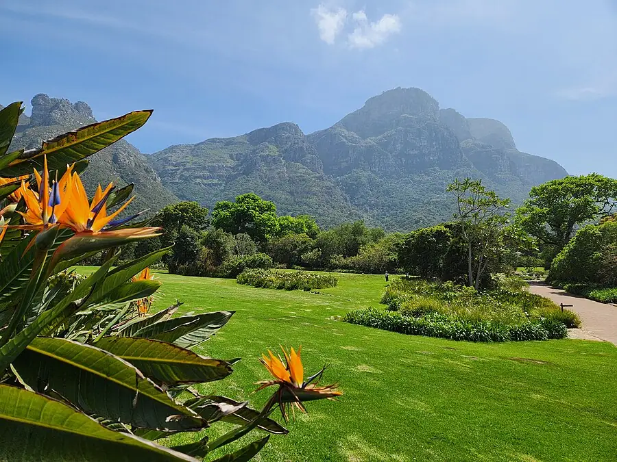 Kirstenbosch National Botanical Garden in South Africa — photo 2