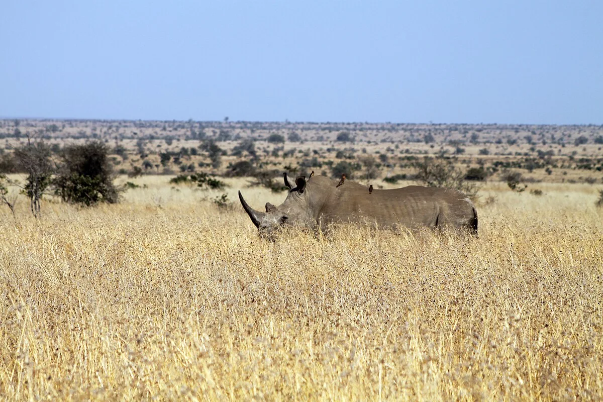 Kruger National Park